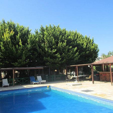 Anastasia Holiday Apartments Χλώρακα Εξωτερικό φωτογραφία